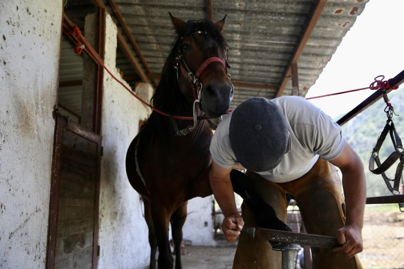Ambulans şoförü nalbant oldu - Resim : 3