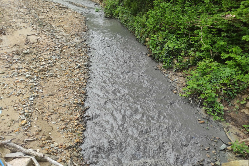 AKP'li vekilin zehir saçan madeni kamerada - Resim : 2