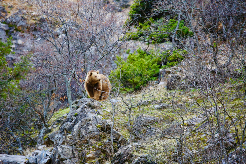 Munzur Vadisi için UNESCO talebi - Resim : 3