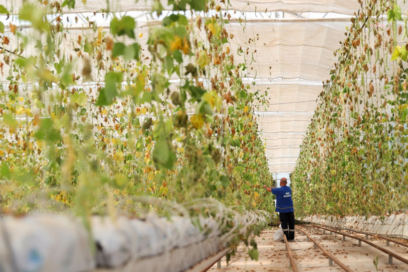 Kent lokantasına gidecekti: Milletin sofrasına saldırı - Resim : 4