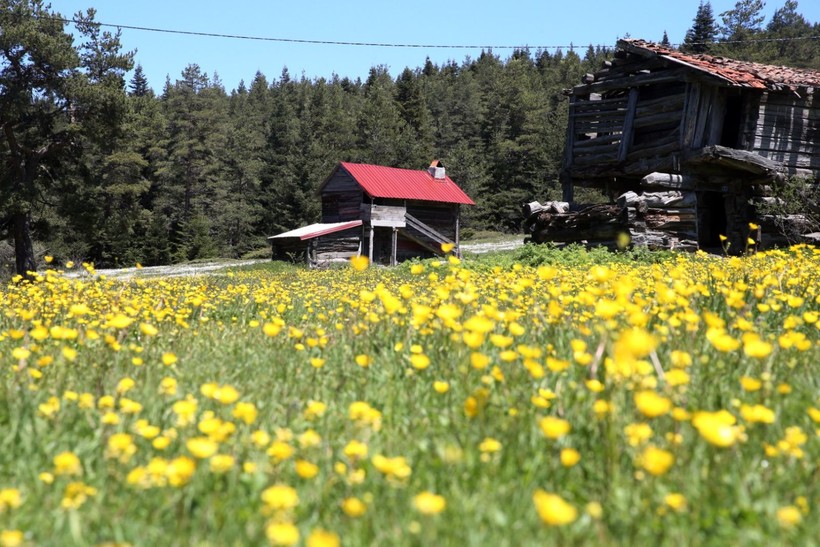 Kastamonu'da görsel şölen başladı - Resim: 1