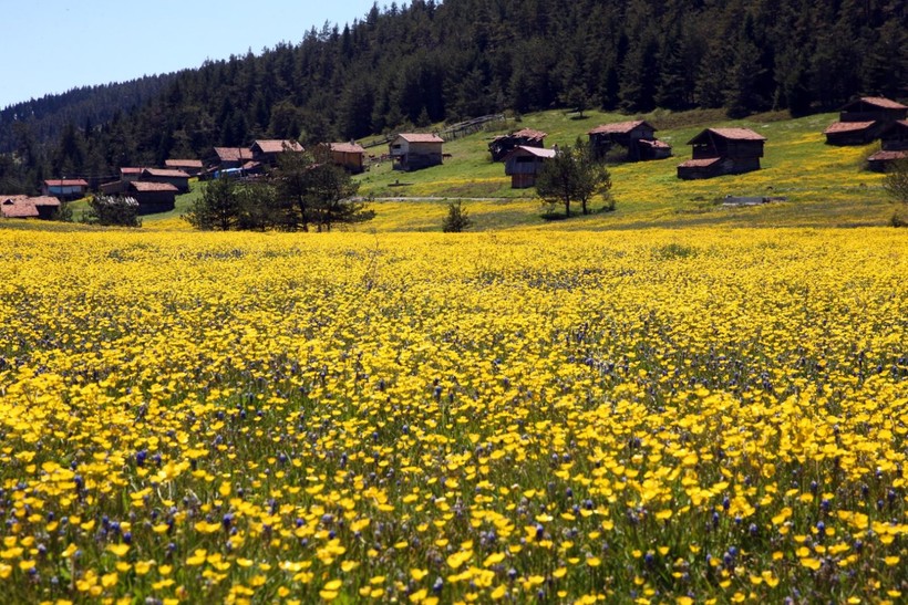 Kastamonu'da görsel şölen başladı - Resim: 6