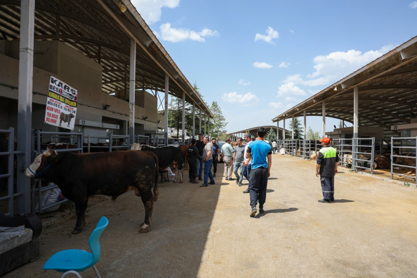 Kurbanlık satışları dibe vurdu - Resim : 2