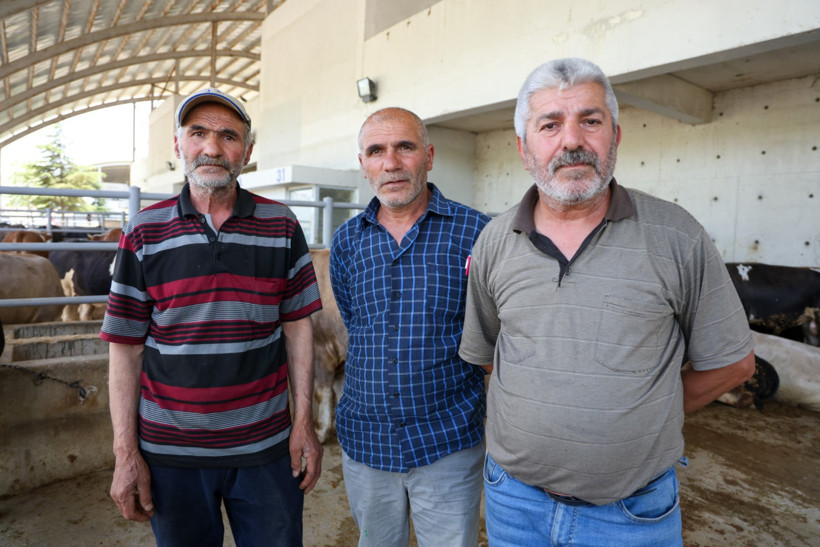 Kurbanlık satışları dibe vurdu - Resim : 3