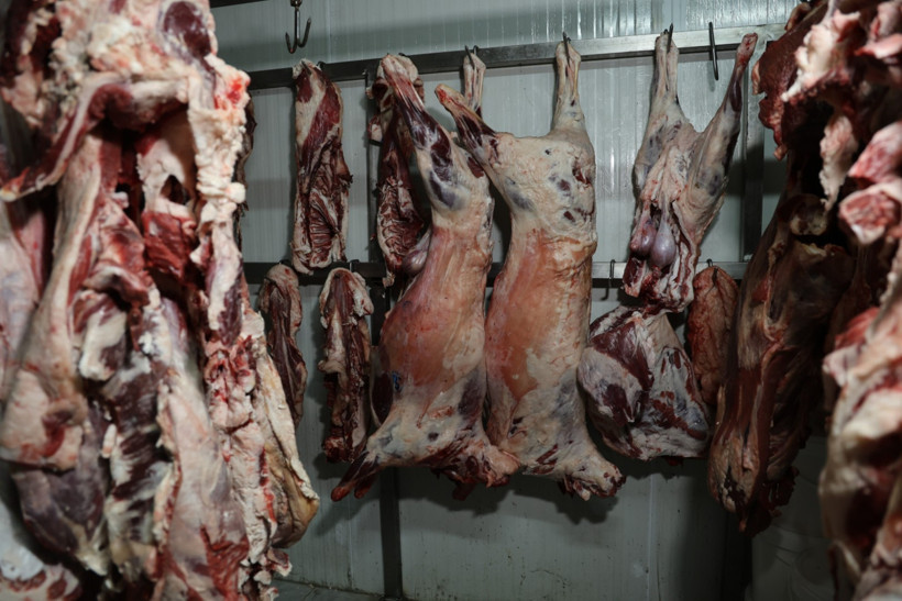 Kebabın kalbinde kara liste: Adana’da denetim çağrısı yükseliyor - Resim : 1