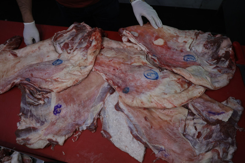 Kebabın kalbinde kara liste: Adana’da denetim çağrısı yükseliyor - Resim : 6