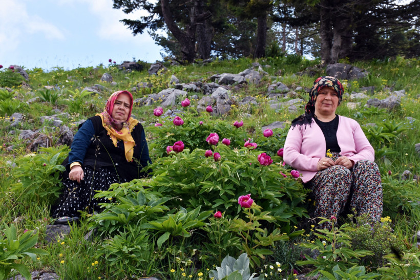 Yılda 10 gün açıyor, koparan yıllarca borç ödüyor - Resim : 2