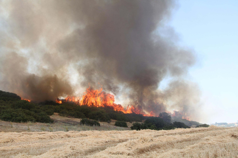 Manisa'da korkutan yangın - Resim : 3