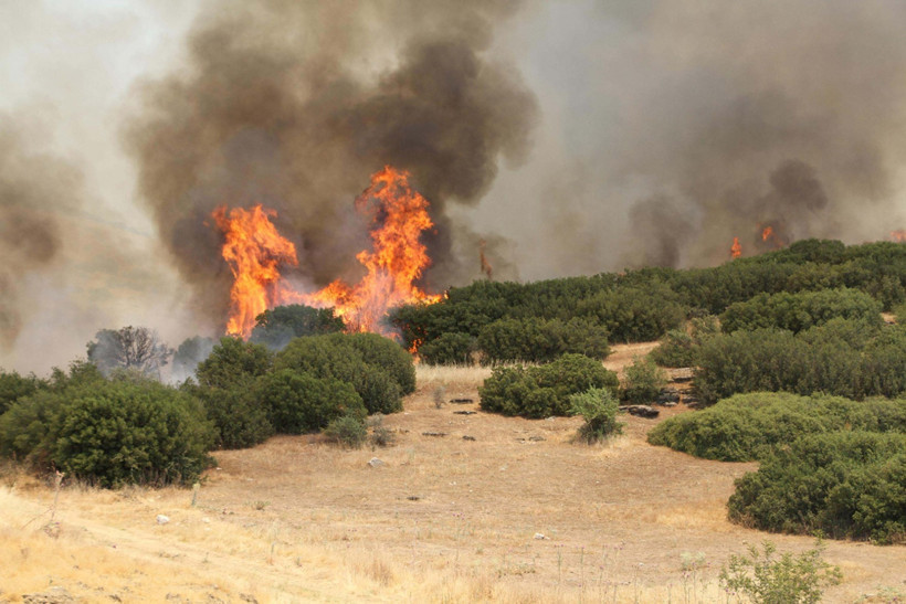 Manisa'da korkutan yangın - Resim : 2