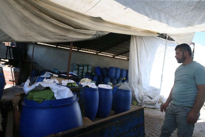 10 bin aile 'narince' ile geçimini sağlıyor - Resim: 12