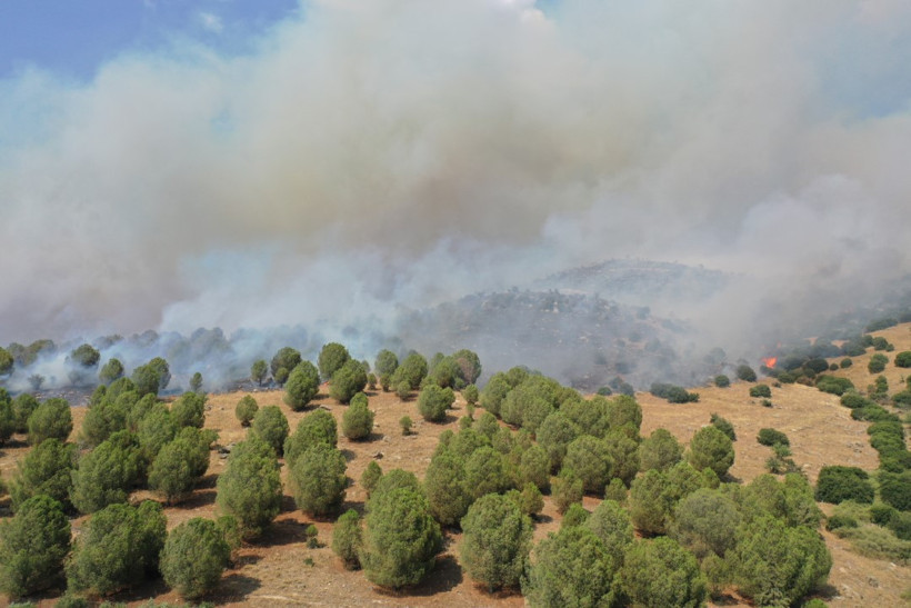 Aydın'daki orman yangını yayılıyor, 3 kişi hastanelik oldu - Resim : 1