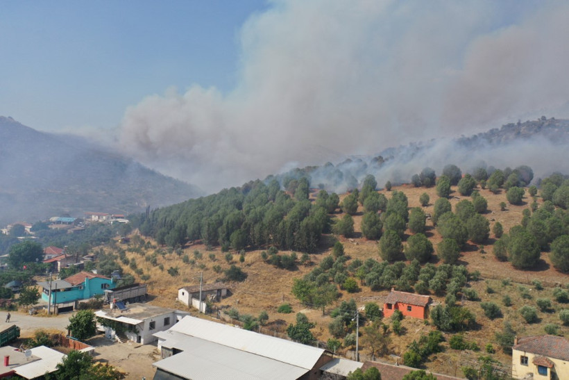 Aydın'daki orman yangını yayılıyor, 3 kişi hastanelik oldu - Resim : 3