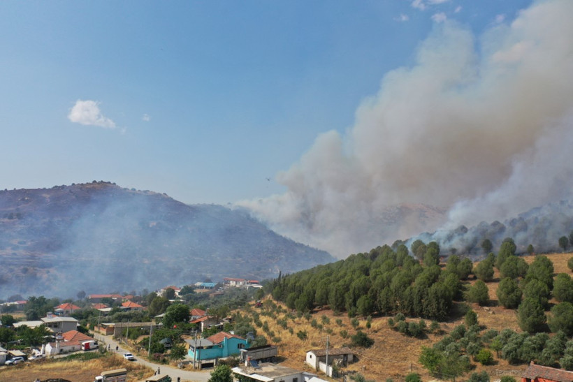 Aydın'daki orman yangını yayılıyor, 3 kişi hastanelik oldu - Resim : 2
