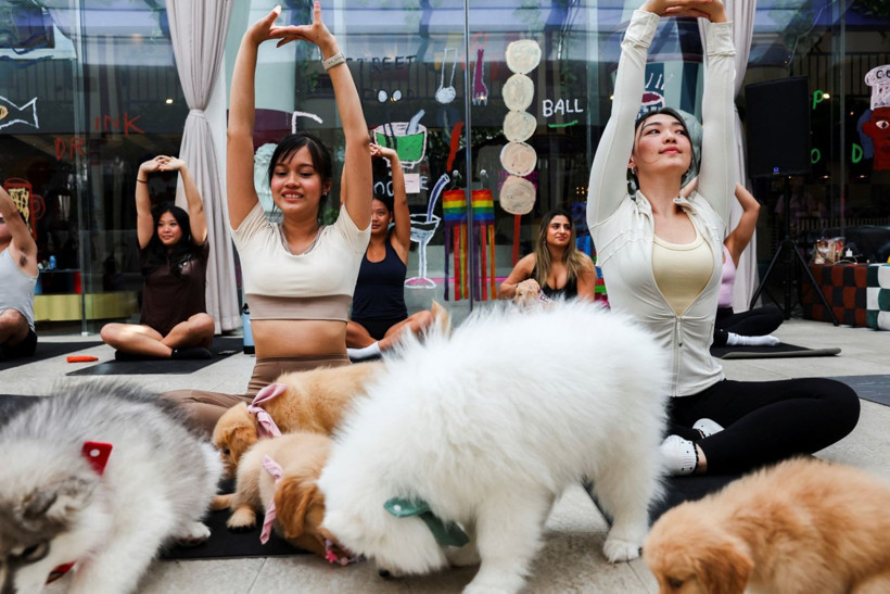 Modi'den yoga şov: Guinness rekoru denemesi - Resim: 7