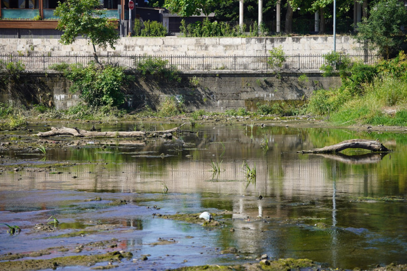 Tunca Nehri 'akmam' diyor: Göz göre göre kuruyor! - Resim : 4
