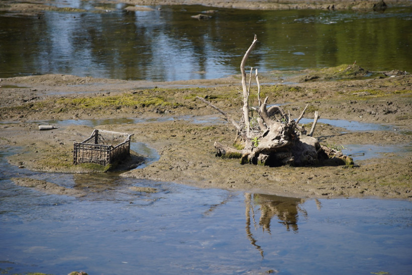 Tunca Nehri 'akmam' diyor: Göz göre göre kuruyor! - Resim : 1
