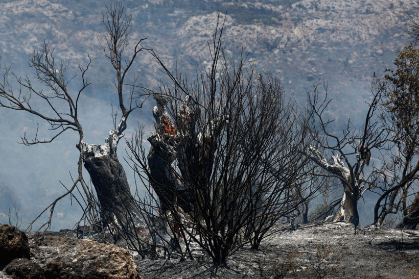 Sakız Adası 4 gündür yanıyor: Köyler boşaltıldı - Resim: 5
