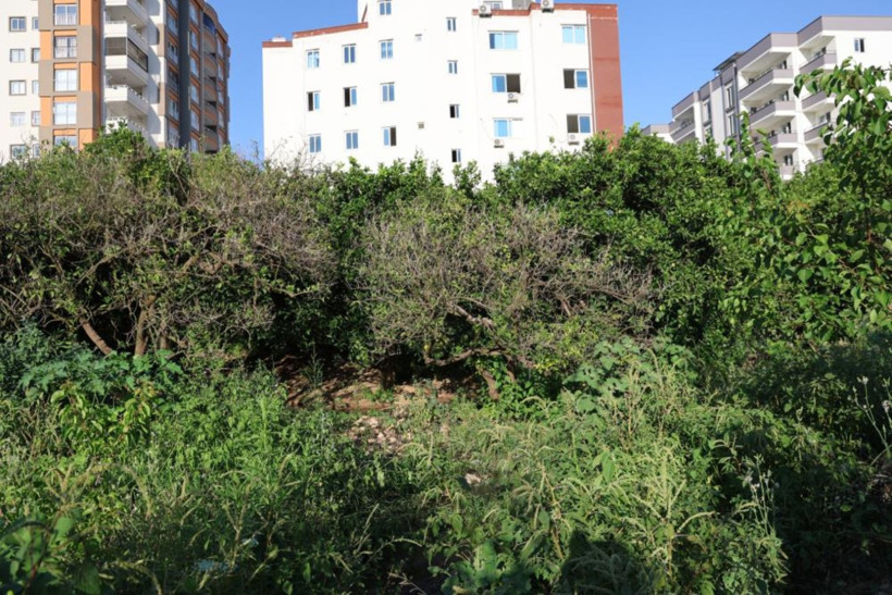 Çevre katliamı: Lağım suyu doğrudan çaya akıyor! - Resim : 2