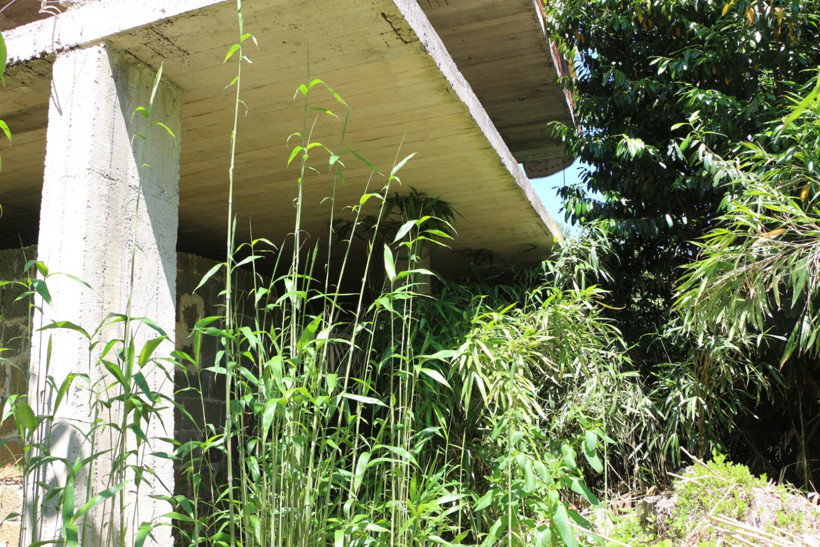 Mahalleli çözüm arıyor: Kalem yaparız diye diktiler, bütün köyü sardı - Resim : 1