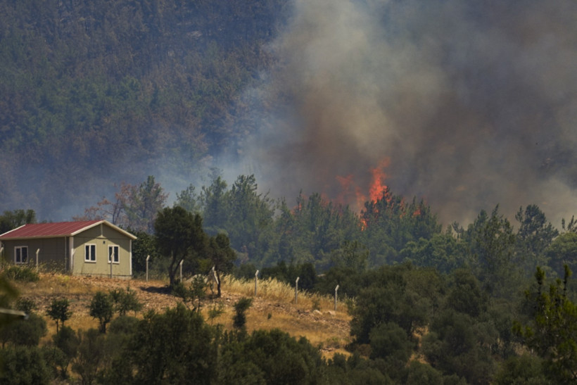Ormanlarda 3 günlük bilanço: 263 yangın, 4'ü hâlâ sürüyor - Resim : 3