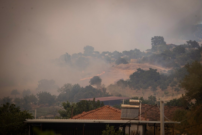 İzmir'de bir orman yangını daha - Resim : 10
