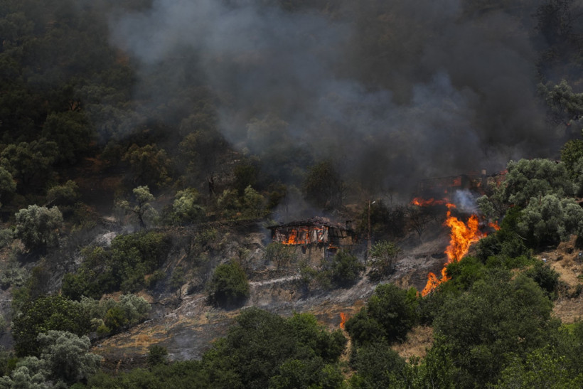 İzmir Ödemiş'teki orman yangınında can kaybı - Resim : 5