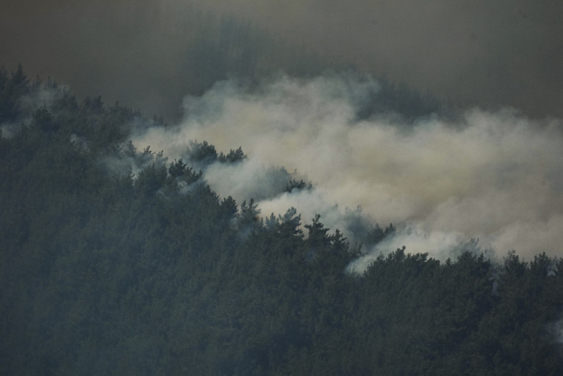 İzmir Ödemiş'teki orman yangınında can kaybı - Resim : 6