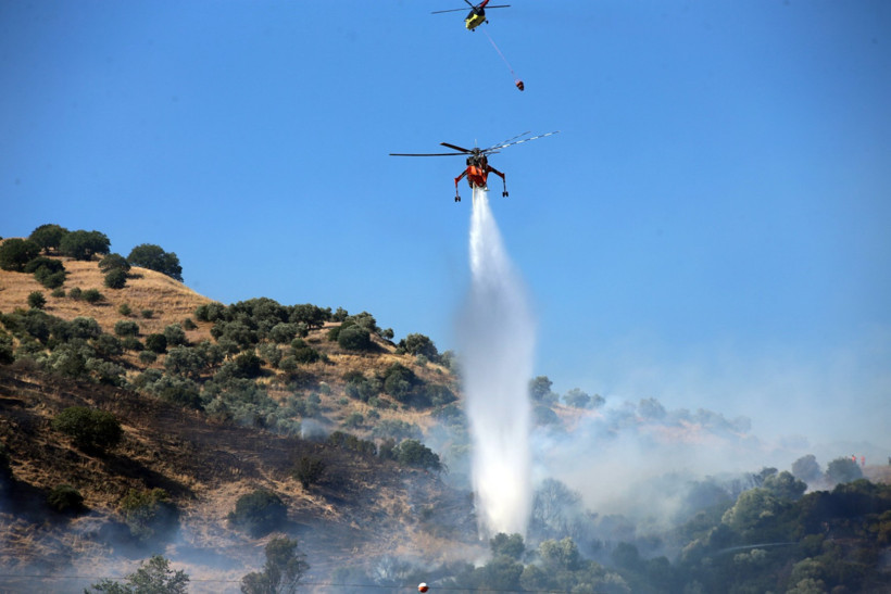 Efeler’de 30 dönüm alan kül oldu, 2 kişi gözaltında - Resim : 1
