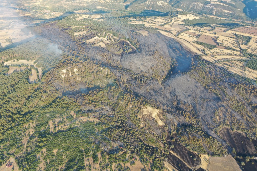 Kütahya'da orman yangını - Resim : 1