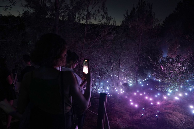 Astra Lumina nefes kesti - Resim: 5