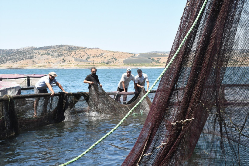Denizi olmayan ilden dünyaya somon ve alabalık ihraç ediyorlar - Resim : 3