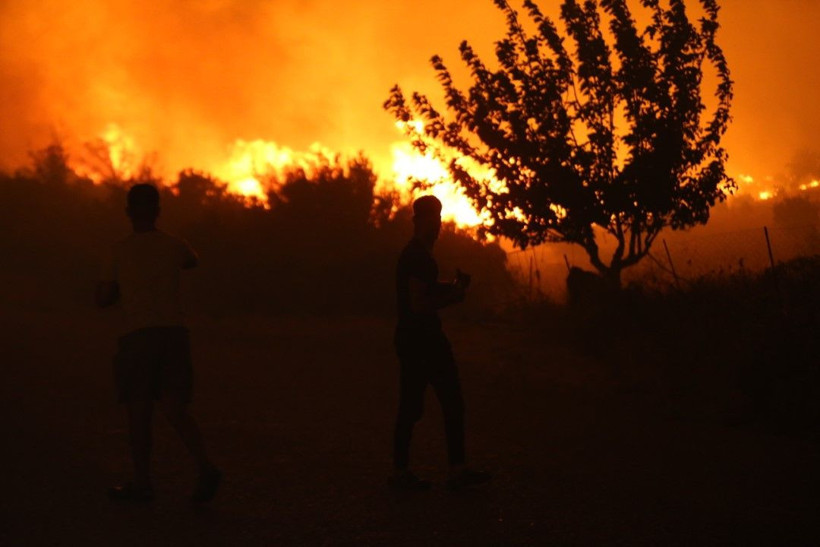 Çanakkale'deki büyük yangından kahreden fotoğraflar - Resim: 32