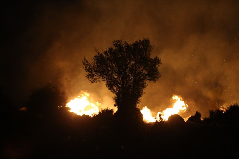 Çanakkale'deki büyük yangından kahreden fotoğraflar - Resim: 35