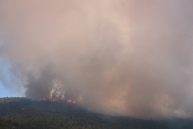 Sakarya yangını Bilecik'e sıçradı - Resim : 2