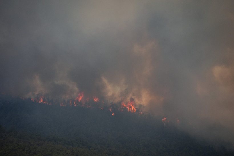 Sakarya yangını Bilecik'e sıçradı - Resim : 1