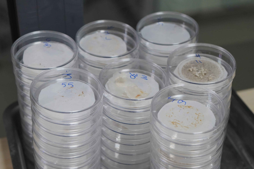 Tehlike büyük: Kalıcı bir tehditle karşı karşıyayız - Resim : 2