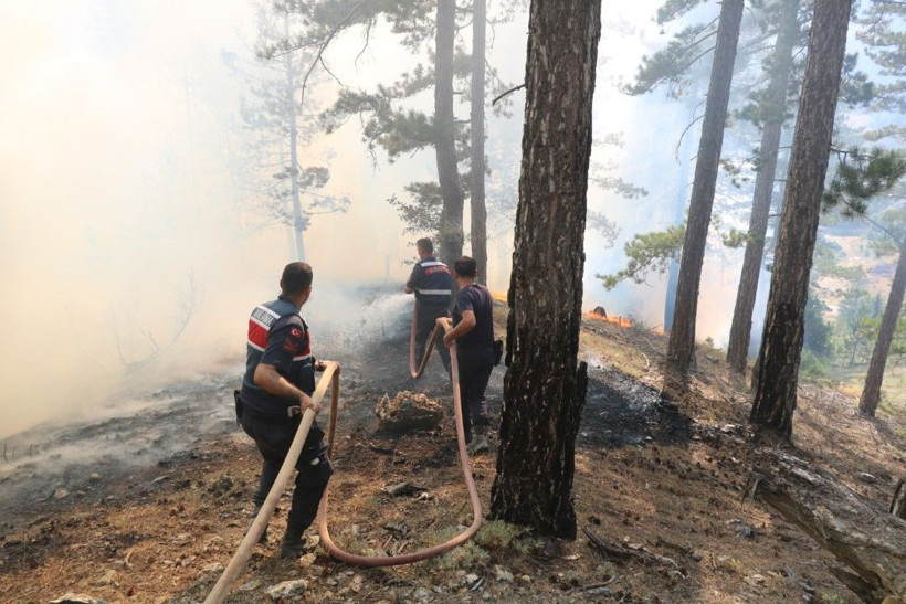 Antalya'da 5 ilçedeki orman yangınlarının 2'sine müdahale sürüyor - Resim: 58