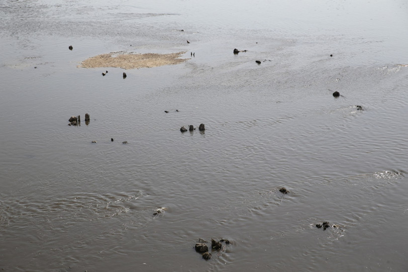 Meriç çekildi, tarih ortaya çıktı! 1830’ların ahşap köprüsü yeniden göründü - Resim : 2