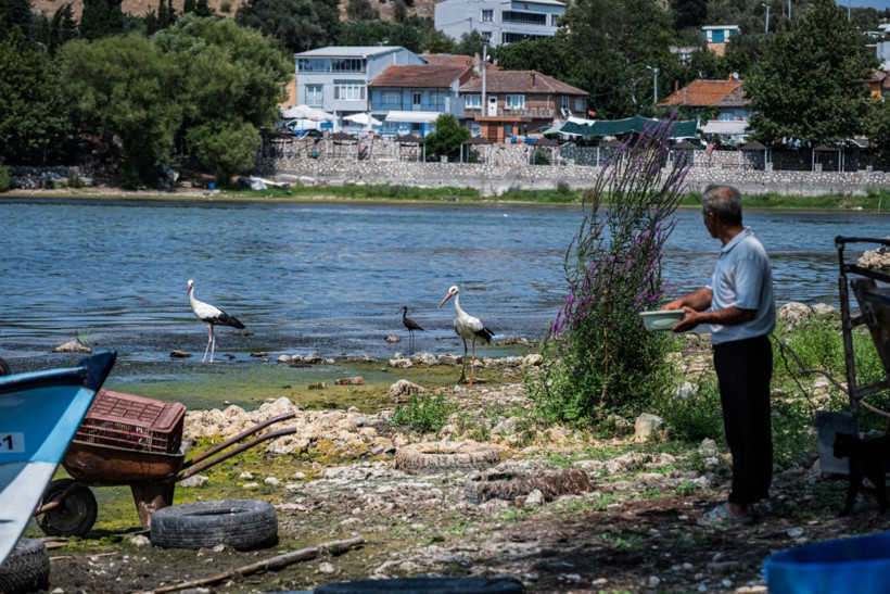 Gölyazı: Su kuşlarının sığınağı - Resim: 8