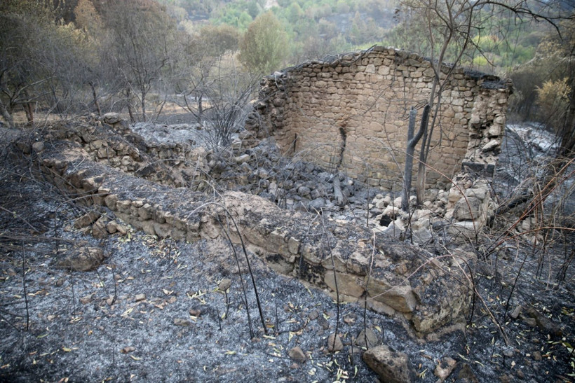 Karabük yangını: Bir köyde 39 ev yandı - Resim: 13