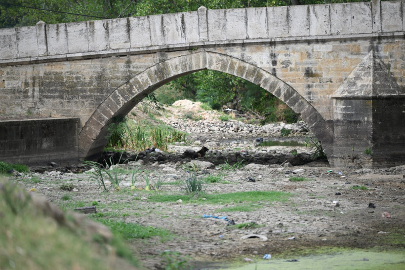 Tunca Nehri akmıyor: Ördeklerin yerini köpekler aldı - Resim : 2