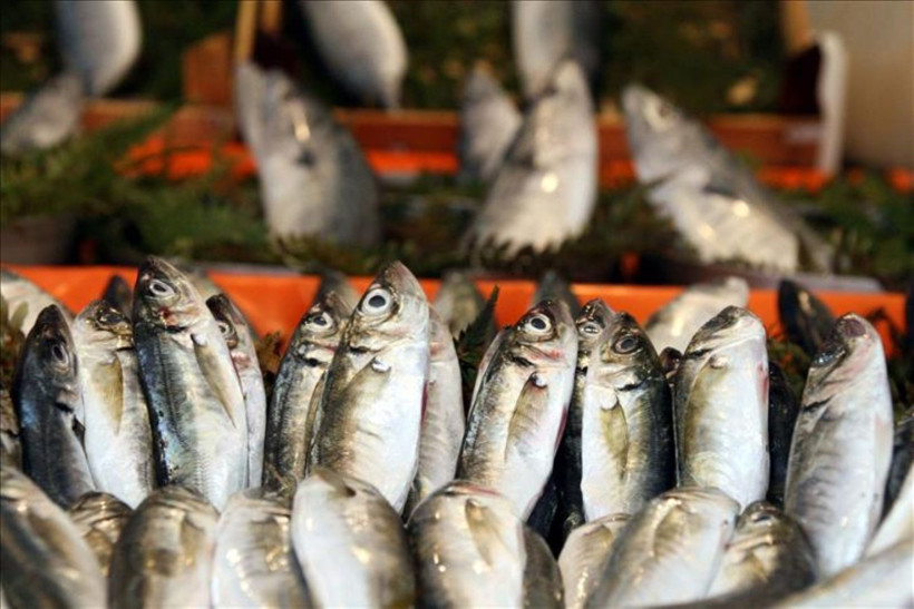 Uzun yaşamak için 4 basit beslenme kuralı - Resim: 5