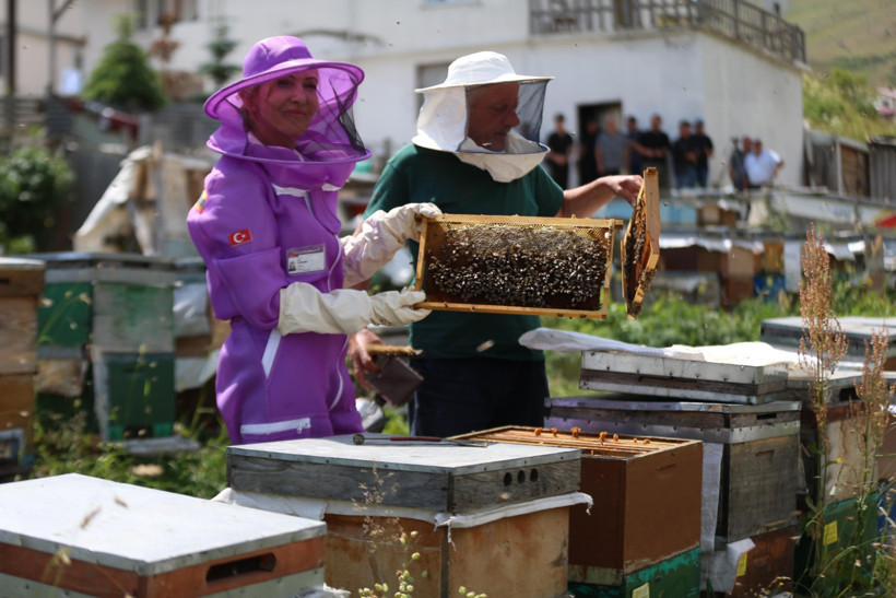 Dünyaca ünlü Anzer balının üretimi için mühürlenen peteklerden numune alındı - Resim : 2
