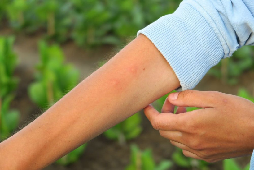 Çin'i sarsan yeni salgın: 7 bin vaka kayda geçti, önlemler arttı - Resim: 3