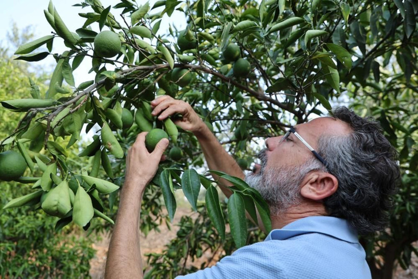 Endişe büyüyor: 'Arızalandığında bile böyle bir kriz yaşanmamıştı' - Resim: 5