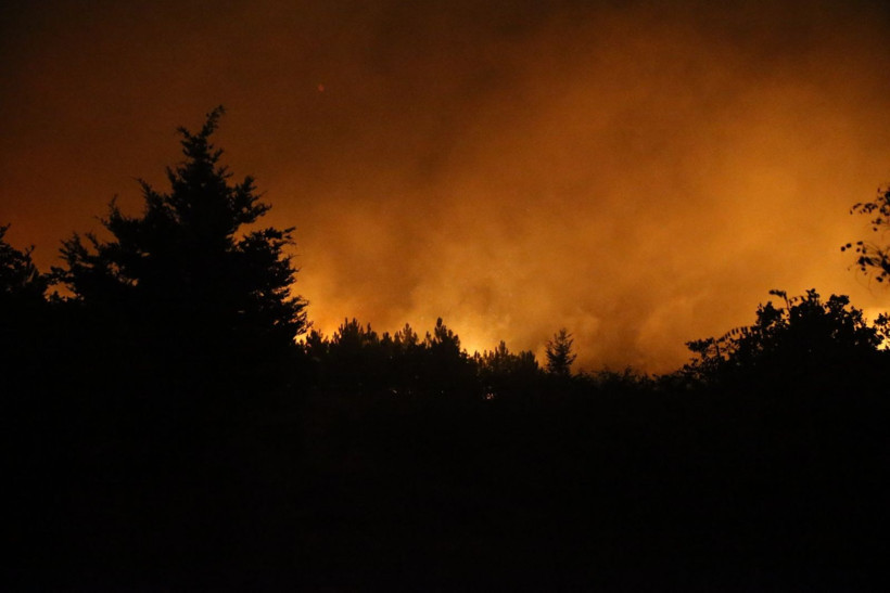 Edirne de yandı: Binlerce kişi tahliye edildi, yaralananlar var - Resim: 16