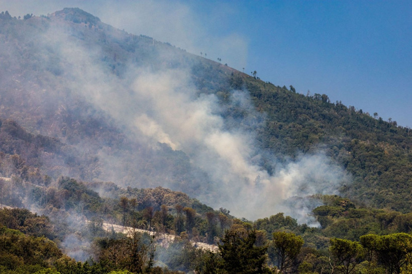 Kavruluyoruz! Rekor sıcaklar ve yangınlar dört bir yanı sardı - Resim: 5