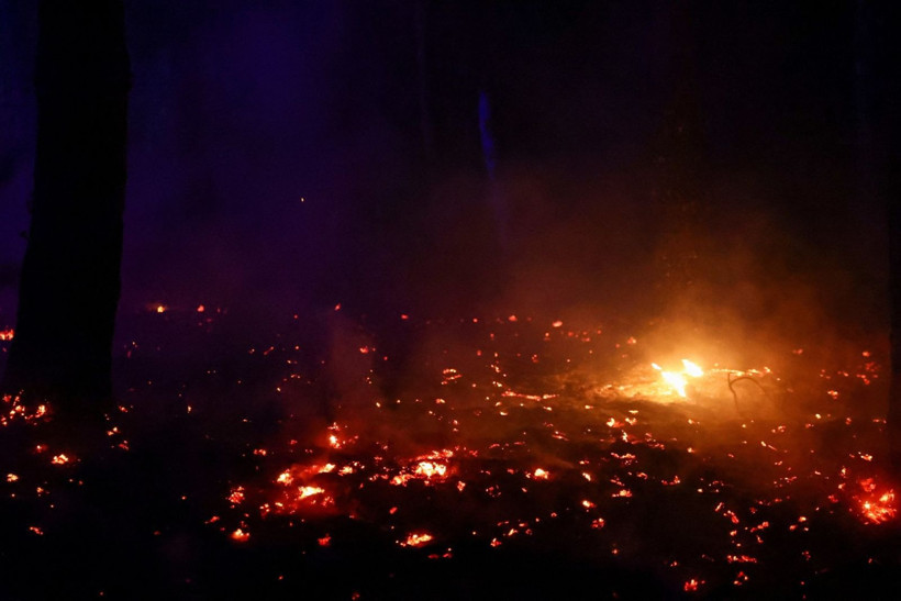 Kavruluyoruz! Rekor sıcaklar ve yangınlar dört bir yanı sardı - Resim: 3