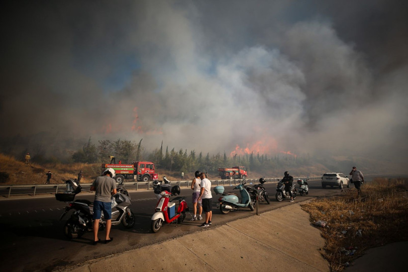Cebimiz de yanıyor: Sadece bir hektarın maliyeti 600 bin lira - Resim: 2