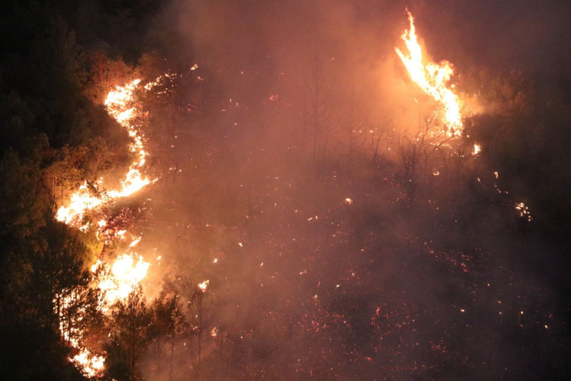 Cebimiz de yanıyor: Sadece bir hektarın maliyeti 600 bin lira - Resim: 4